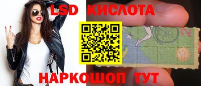 шишки Чебаркуль