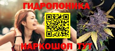 прущие крисы Чапаевск