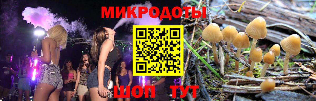 Галлюциногенные грибы Psilocybe  Вход с VPN  Миллерово 